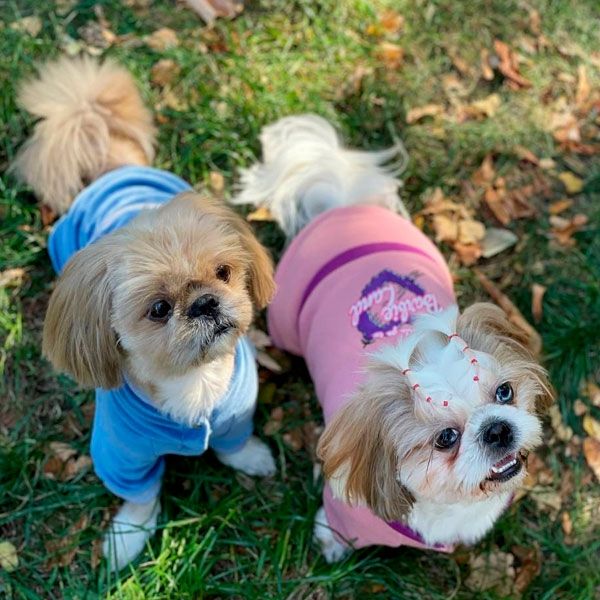 Комбінезон Барбі трикотаж на флісі (дівчинка) М