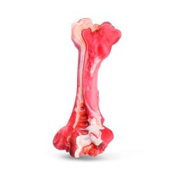 Мясна кістка для собак 20 см