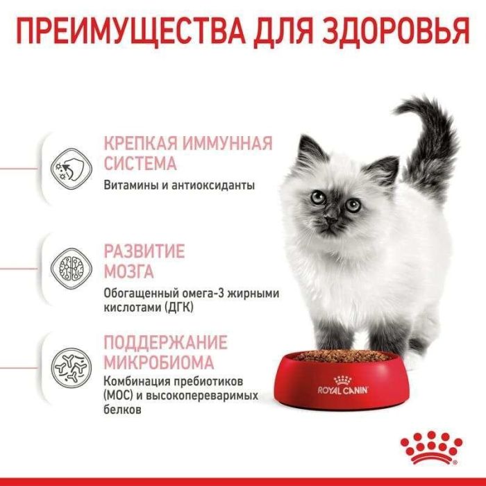 АКЦІЯ Royal Canin Kitten для кошенят на кожен день (до 12 місяців) набір корму 2 кг + 4 паучі 