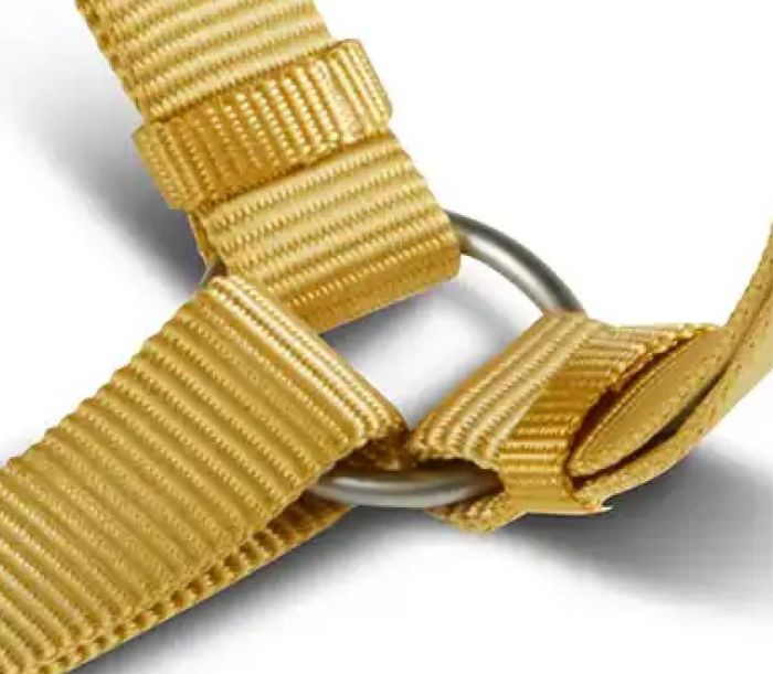 Анатомічна шлейка для собак Wolters Professional M 30-50 см / 15 мм Жовтий