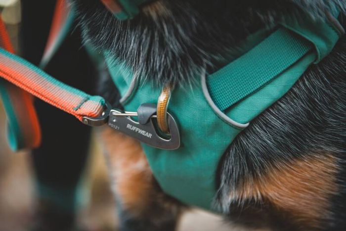 Шлейка-рюкзак для собак Ruffwear Front Range™ S Зелений