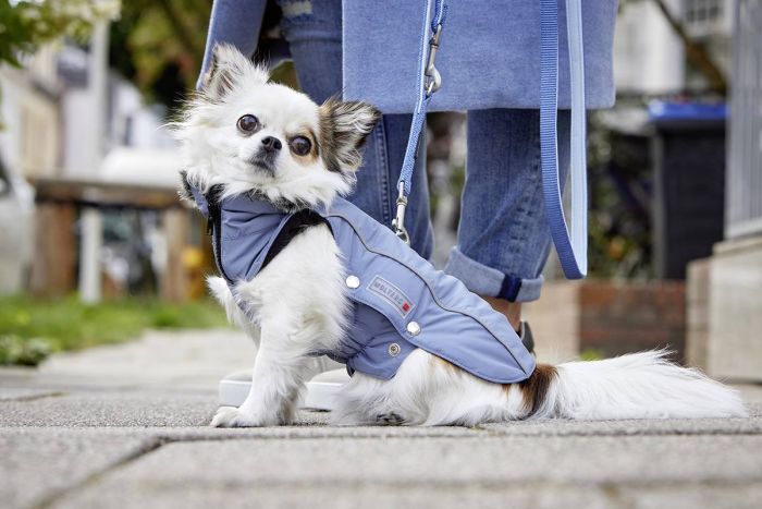 Куртка парку для собак Wolters Amundsen 36 см Синій