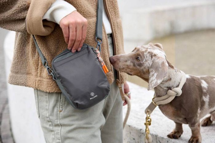 Сумка для ласощів і аксесуарів собак Palopa Greta L Темно-сірий