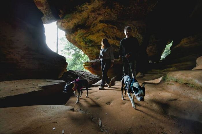 Полегшена шлейка для собак Ruffwear Hi & Light™ XXXS 23-33 см Малиновий