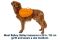 Шлейка-рюкзак для собак Ruffwear Approach™ M Помаранчевий