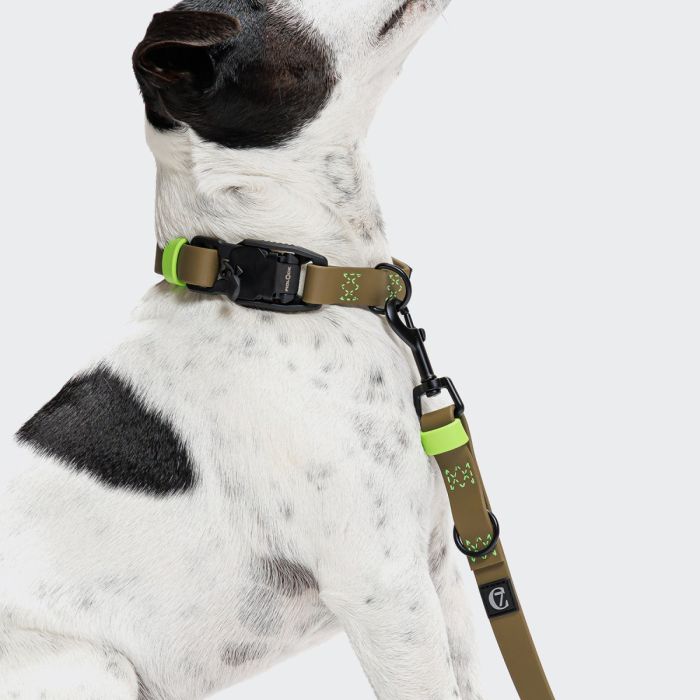 Повідець вільні руки для собак Cloud7 Hands-Free-Leash Ipanema Оливковий One Size