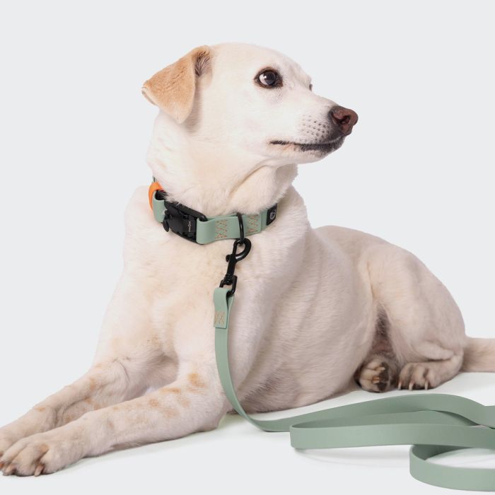 Нашийник для собак Cloud7 Ipanema М'ятний M