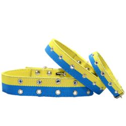 Нашийник економ брезент подвійний безрозмірний патріот 20 мм