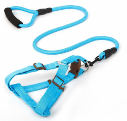 Шлея та повідець для собак, круглий шнур з пінною ручкою, шлея 1,530-50 см, повідець 120 см блакитний