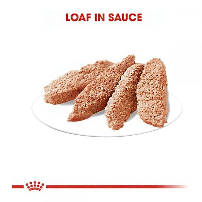 Royal Canin Exigent Loaf 85г корм для вибагливих собак 