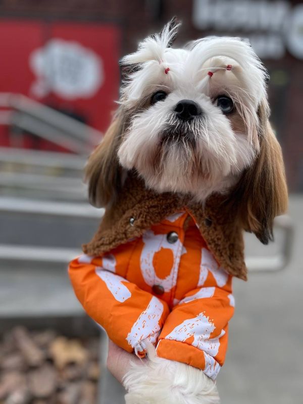 Сахара комбінезон на овчині і силіконі для собак дівчаток S1