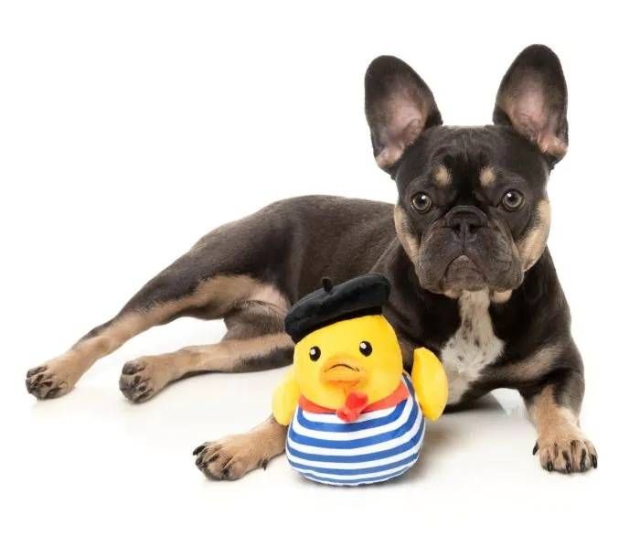 М'яка іграшка для собак FuzzYard Качечка Тімоті Чалаквак S