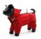 Дощовик Digi dog червоний (дівчинка), XL 