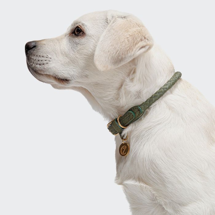 Нашийник для собак Cloud7 Ravello Зелений XS