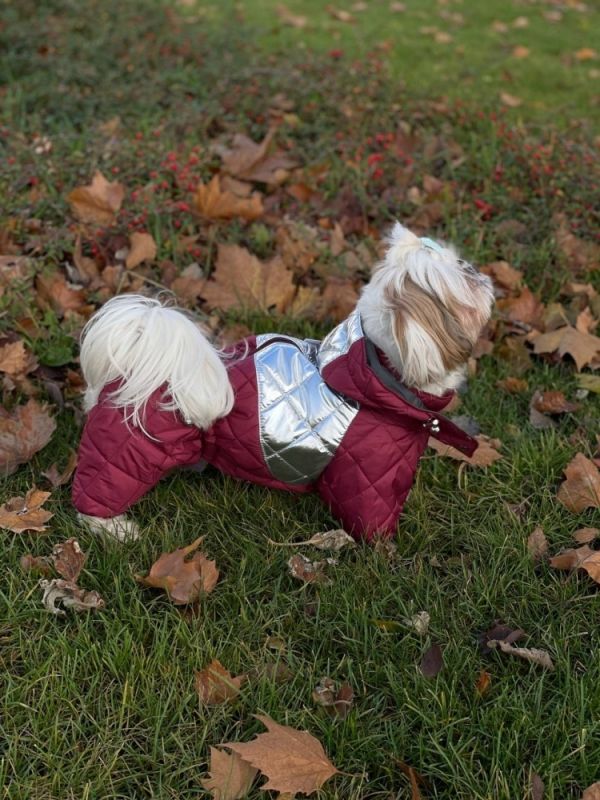 Комбінезон Міла стьобаний силікон (дівчинка) S1