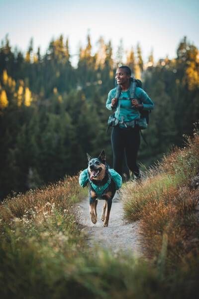 Шлейка-рюкзак для собак Ruffwear Front Range™ M Зелений