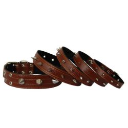 Нашийник для собак з шипами, коричневий 43-57 см