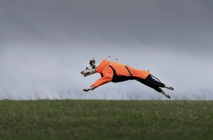 Комбінезон для собак Non-stop dogwear Fjord overall raincoat Помаранчевий 55