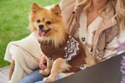 В'язаний светр для собаки Wolters Norwegian 20 см Коричневий