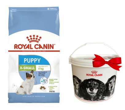 Акція сухий корм Royal XSMall Puppy 1,5 кг + контейнер-корм для цуценят дрібних порід 