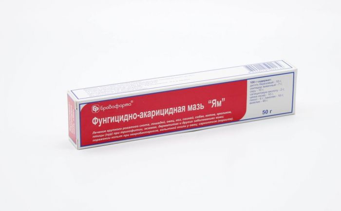 Ям мазь-мазь з акарицидною і протигрибковою дією 50 гр 