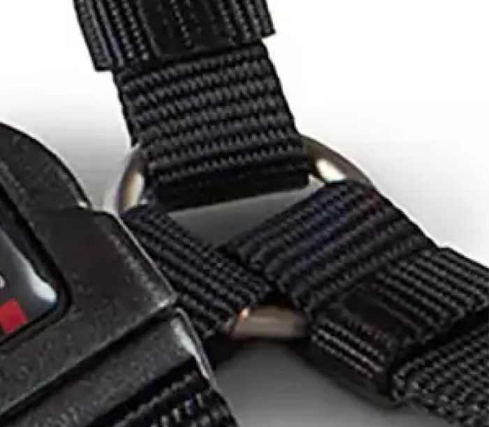 Анатомічна шлейка для собак Wolters Professional L 50-70 см / 20 мм Чорний