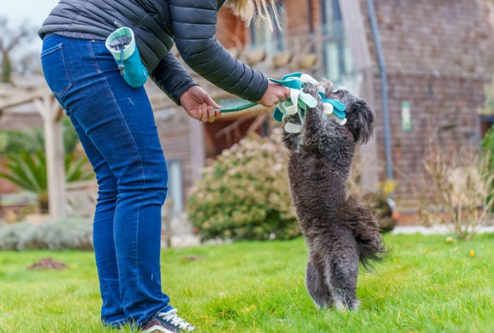 Іграшка для перетяжок для собак маленьких порід і цуценят Coachi Tuggi Spider Зелений