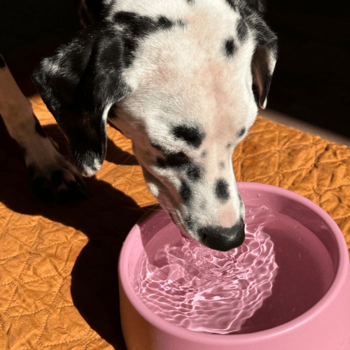 Миска зі 100% переробленого пластику для собак Beco Pets Steady Bowls Рожевий S