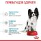 АКЦІЯ Royal Canin X-Small Puppy для цуценят мініатюрних порід до 10 місяців, 1.5 кг + 4 паучі 