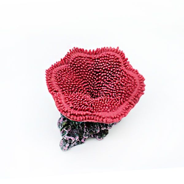 Корал-поліп рожевий, 8х8х7 см 