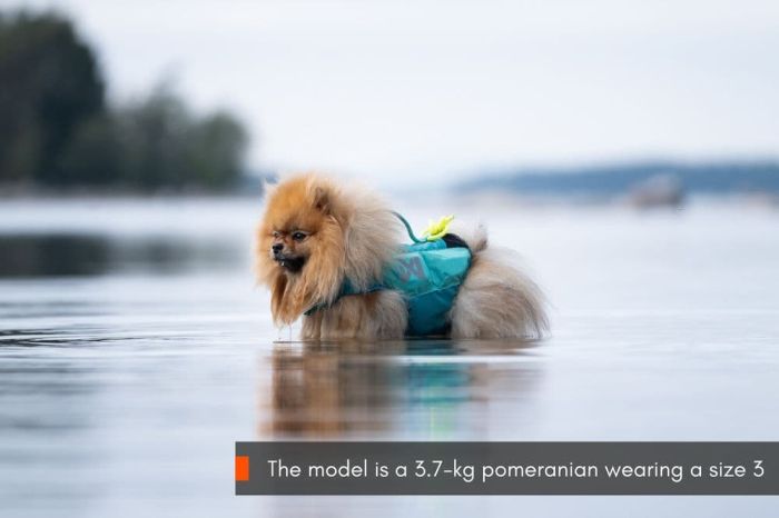Рятувальний жилет для собак Protector life jacket Non-stop dogwear Бірюзовий 6