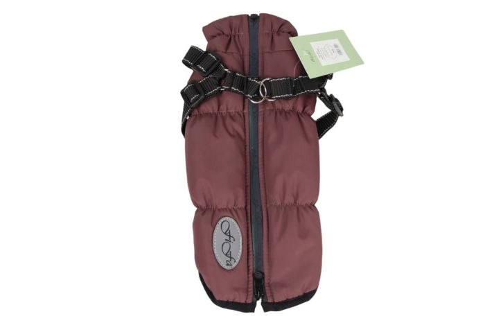 Арктика жилет для собак дівчаток зі шлеєю S1