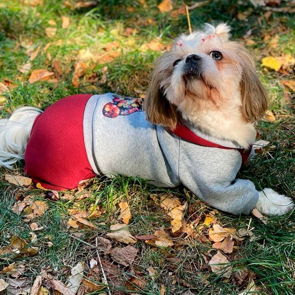 Комбінезон Белла трикотаж на флісі (дівчинка) XS