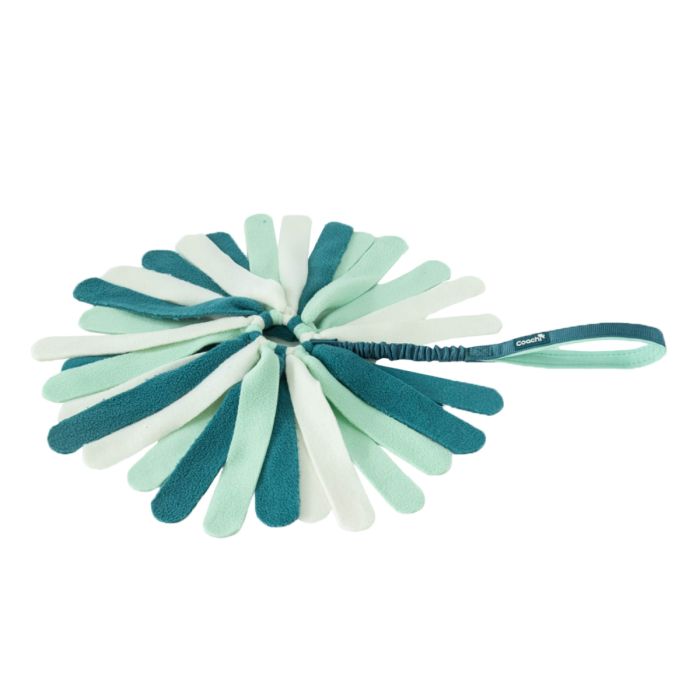 Іграшка для перетяжок для собак маленьких порід і цуценят Coachi Tuggi Spider Зелений