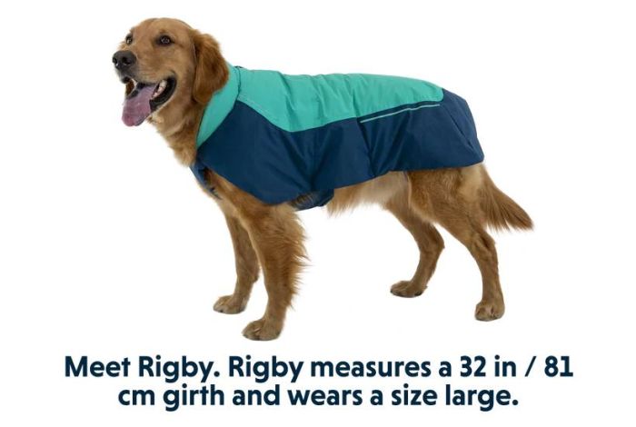 Водонепроникна куртка для собак Ruffwear Vert™ M Бірюзовий