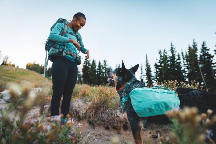 Шлейка-рюкзак для собак Ruffwear Front Range™ L/XL Зелений