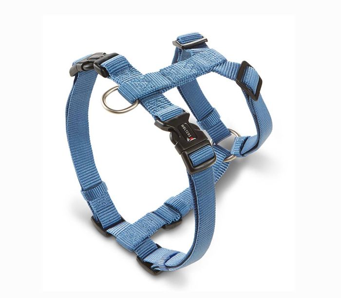 Анатомічна шлейка для собак Wolters Professional S 30-40 см / 10 мм Синій