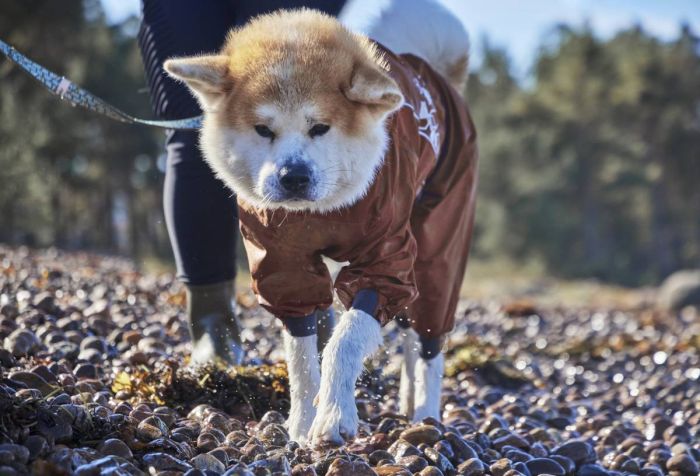 Дощовик комбінезон для собак Hurtta Mudventure Overall ECO 60M Помаранчевий