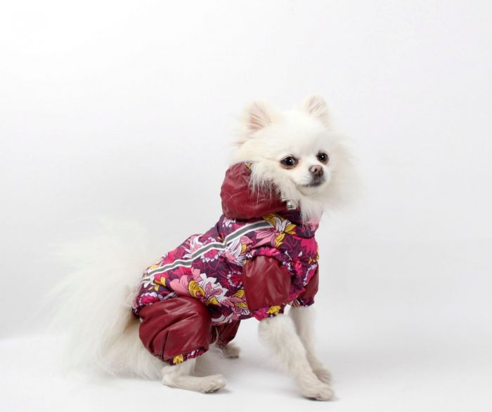 Набір Фрезія жилет силікон + комбінезон велсофт бордо (дівчинка) S