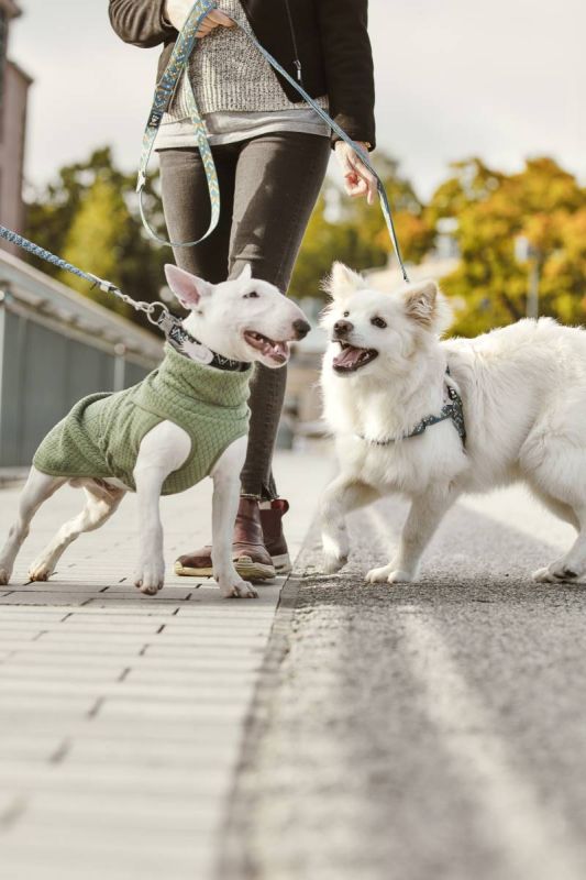 Флісова куртка для собак Hurtta Razzle-Dazzle Midlayer 40 Сірий