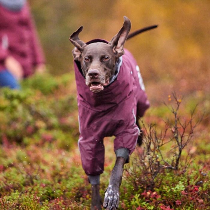 Теплий комбінезон для собак Hurtta Extreme Overall Фіолетовий 35S