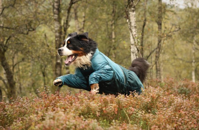 Комбінезон для собак Non-stop dogwear Fjord overall raincoat Бірюзовий 45
