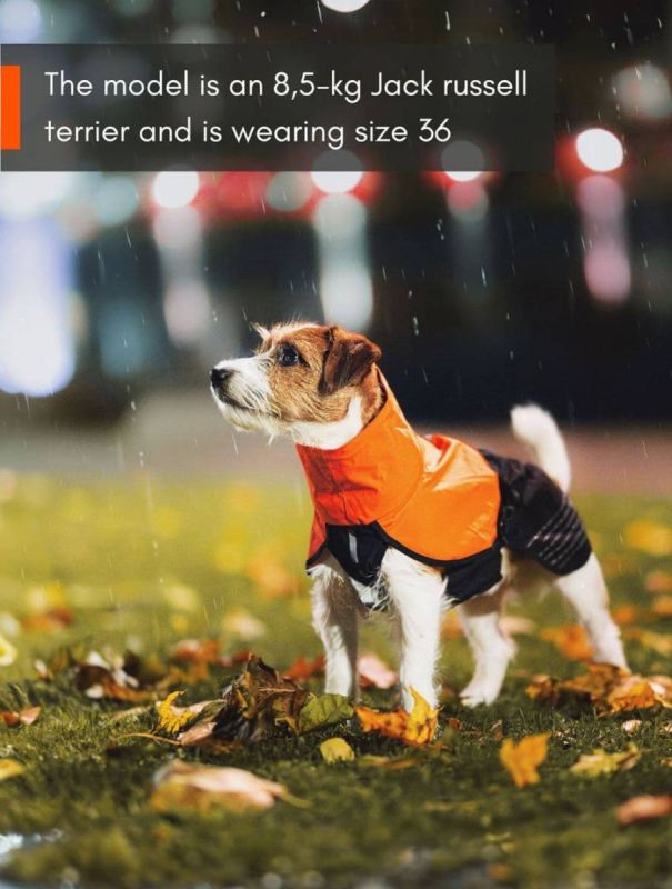 Дощовик для собак Fjord raincoat Non-stop dogwear Чорний/Помаранчевий 36