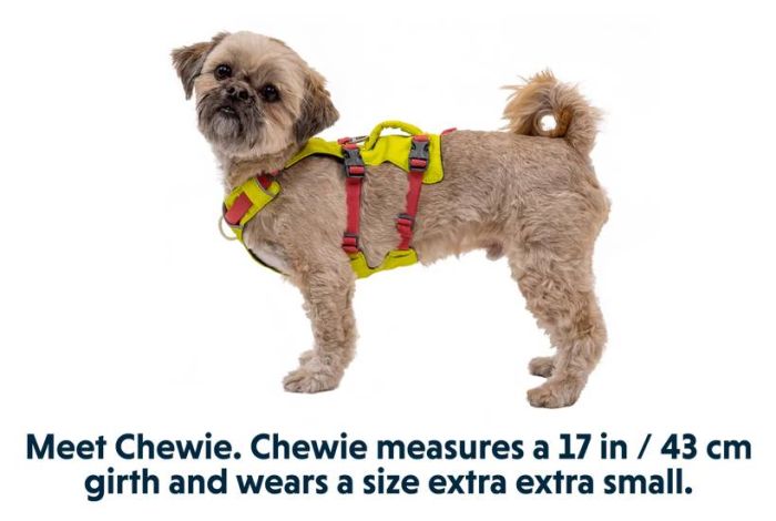 Легка шлейка для собак Ruffwear Flagline™ XS 43-56 см Жовтий