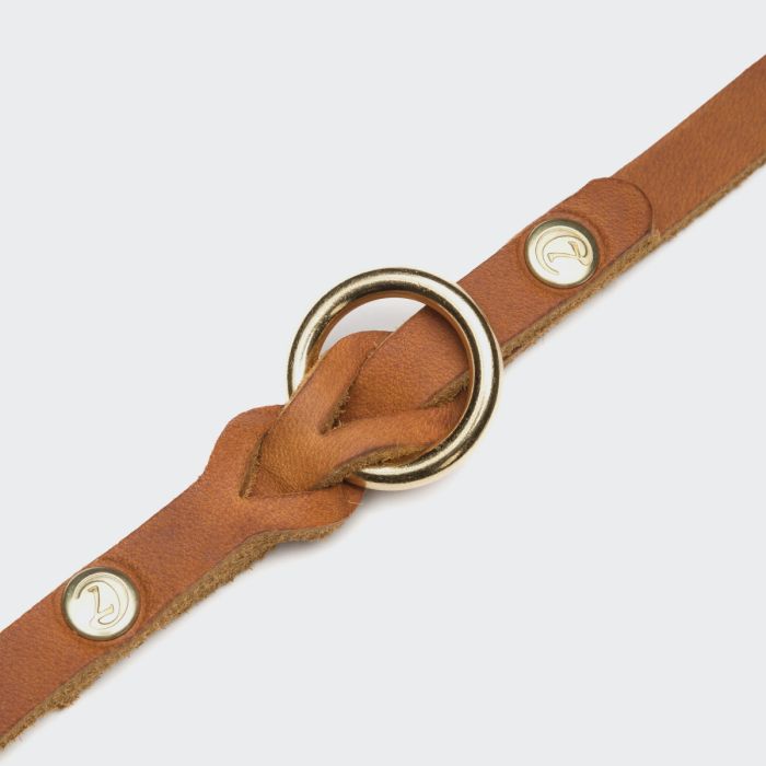 Повідець для собак Cloud7 Riverside Park 225 см / 1,4 см Рудий L