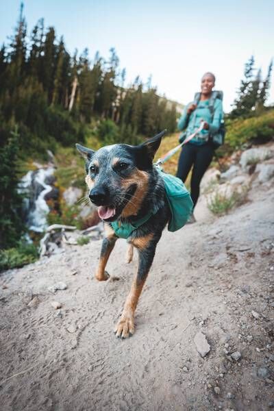 Шлейка-рюкзак для собак Ruffwear Front Range™ XS Зелений
