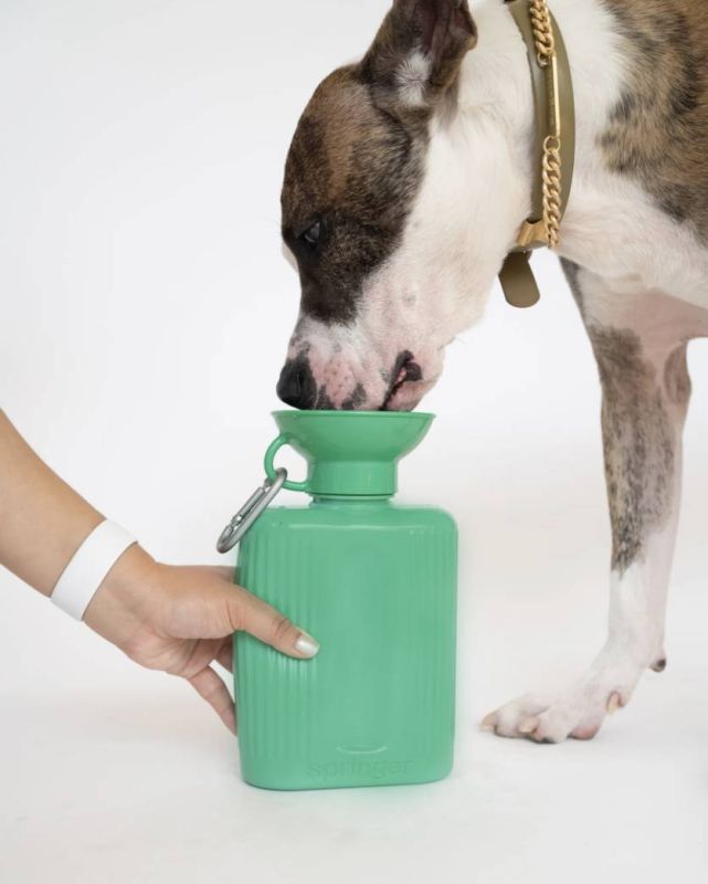 Пляшка-поїлка для собак Springland Зелений 1,3 л