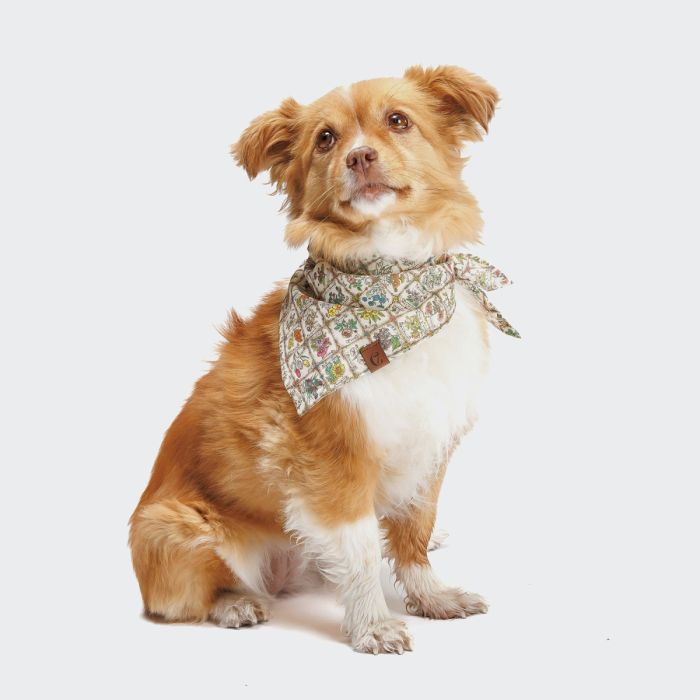 Бандана для собак Cloud7 Flower Squares Різнокольоровий M