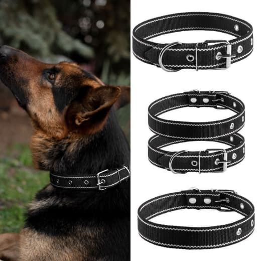 Нашийник для собак, одинарний капрон, чорний 21-35 см