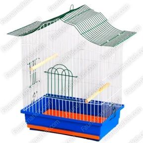 Клітка Лорі Корелла фарба 